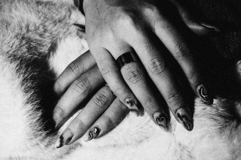 Viols, tortures, séquestrations : l’autre face du djihad enfin révélée