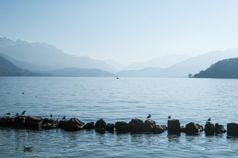 Annecy, lac toxique