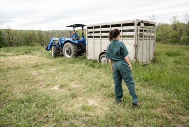 « Ce que je trouve radical, c’est de choisir de devenir paysan »