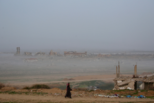 750 universitaires et artistes appellent le gouvernement à accueillir leurs homologues de Gaza