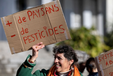 Loi Duplomb 2, le retour