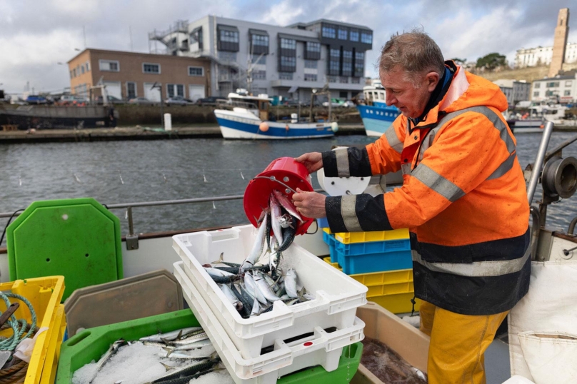 À Brest, les pêcheurs artisans dans le même bateau