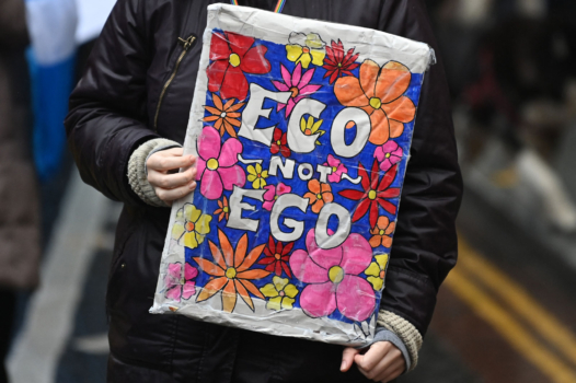 Écologie politique : le choix des armes