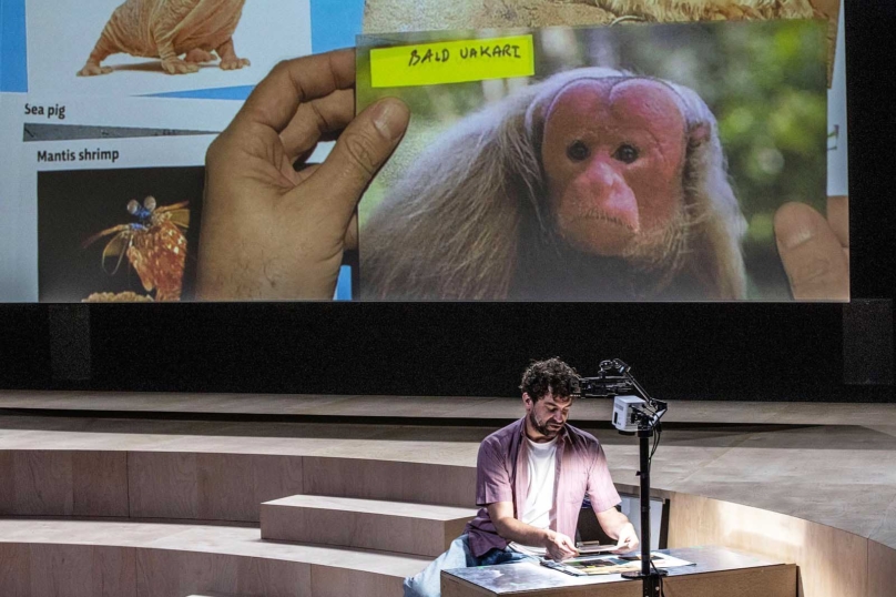 À Strasbourg, le théâtre est un habitant comme les autres