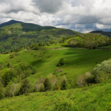 Tour de France : massacre à la tronçonneuse en Alsace