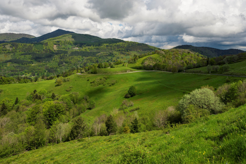Tour de France : massacre à la tronçonneuse en Alsace