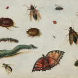 La voiture pour mesurer le déclin des insectes volants