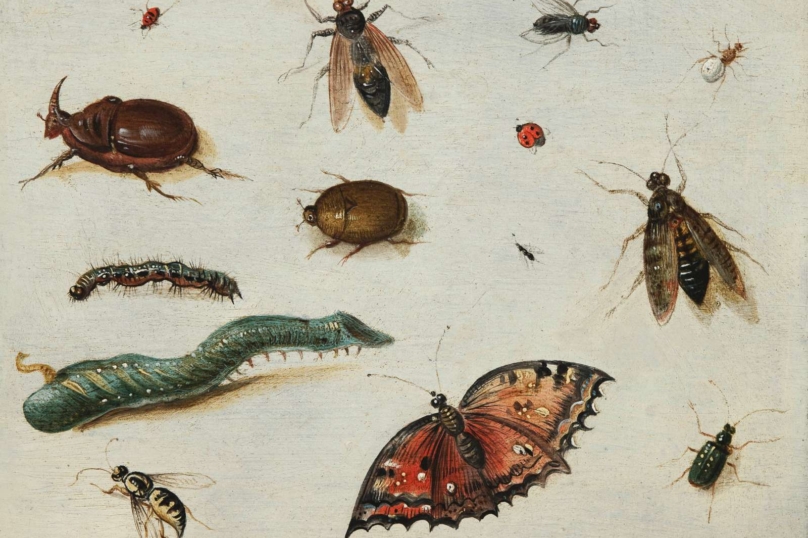 La voiture pour mesurer le déclin des insectes volants