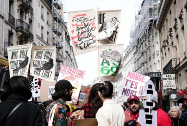 Les mouvements citoyens ne laissent pas béton