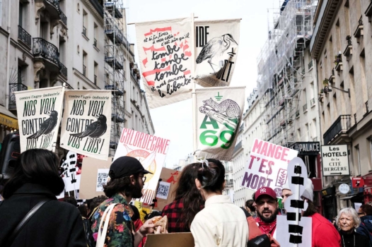 Les mouvements citoyens ne lézardent pas face aux bétonneurs