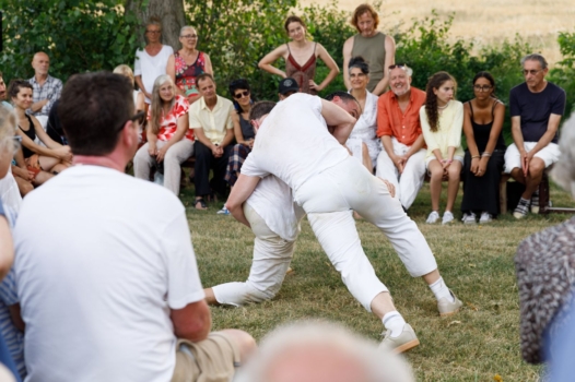 Festival Parterre : la danse est dans le pré