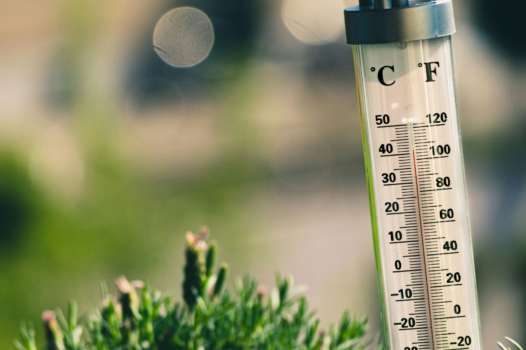 « Une improvisation la plus totale » : à Tours, la jeunesse face à l&rsquo;impréparation climatique