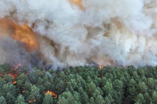 L&rsquo;image : une France ravagée par les flammes