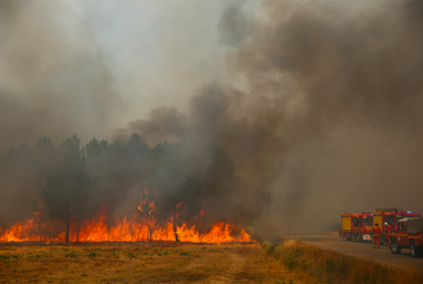 Canicule, incendies : un climat de colère