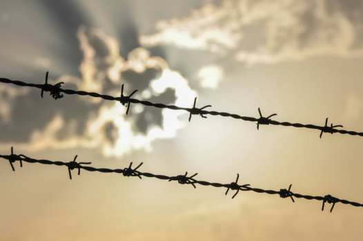 Penser la prison à l’aune de l’écologie