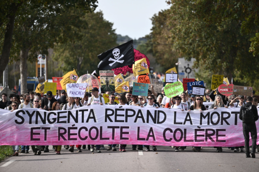 L&rsquo;image : mobilisation massive contre Syngenta